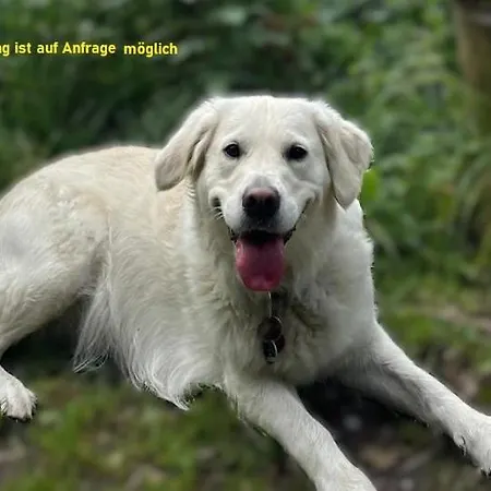 Hostel Vita Berlin * Berlín