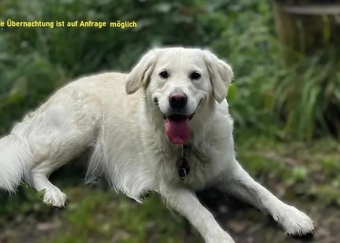 Hostel Vita Berlin * 柏林